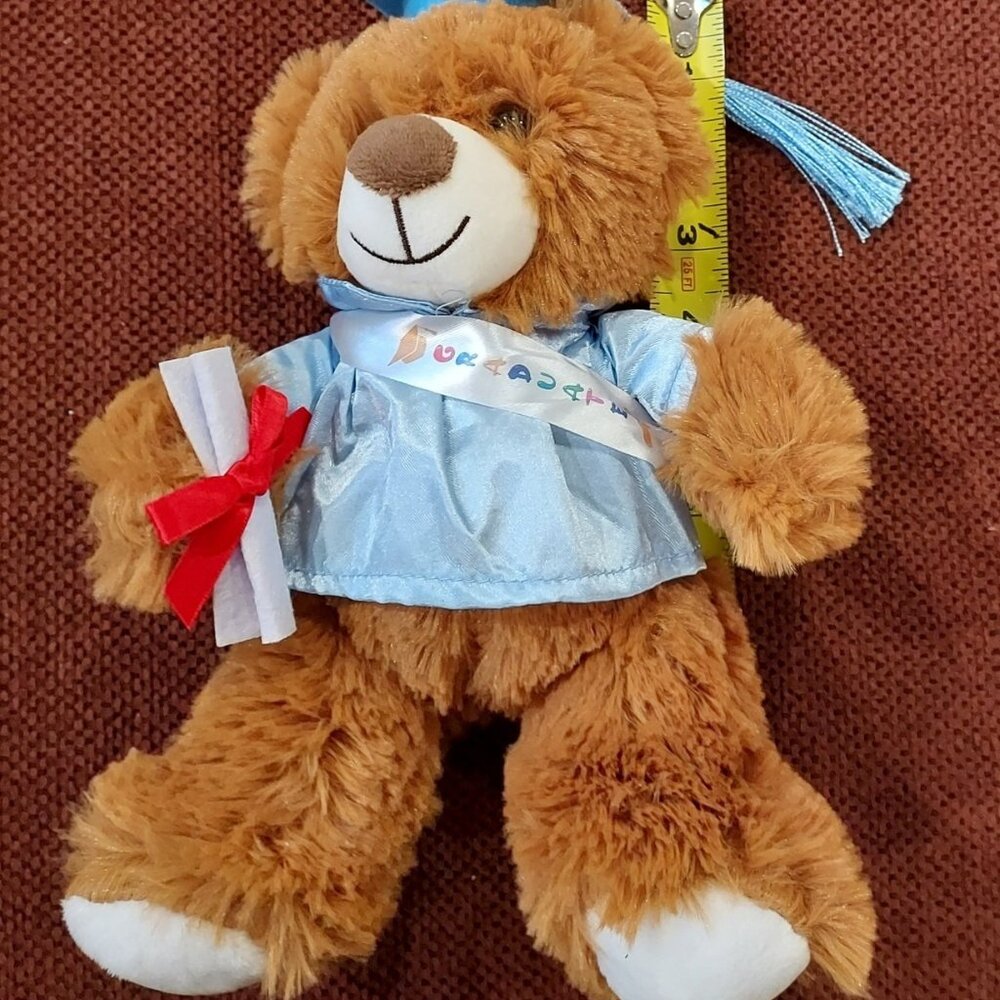 Plush Bear Graduation Baby Blue Cap and Gown Diploma 10 Inch - Picture 8 of 9